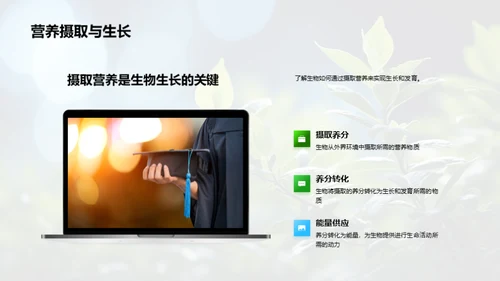生命进程解析
