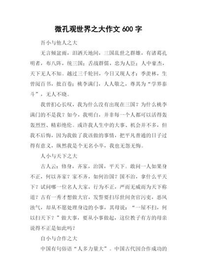 微孔观世界之大作文600字.docx