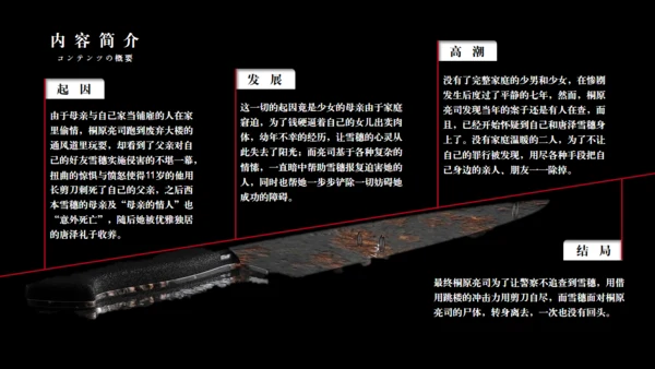 《白夜行》读书分享通用PPT模板