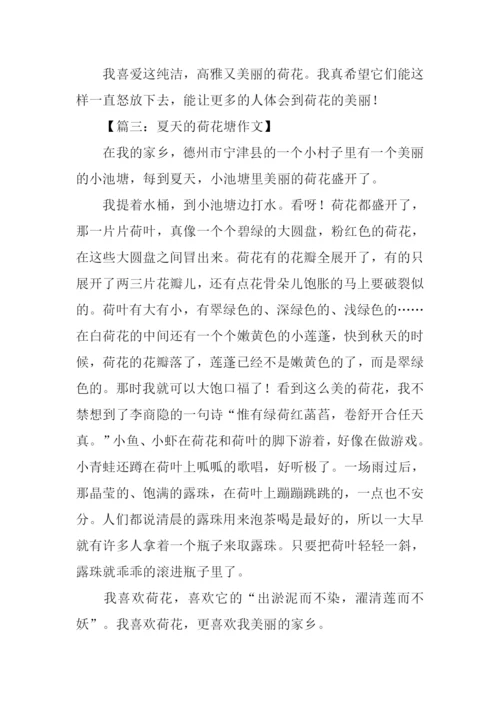 夏天的荷花塘作文400字.docx
