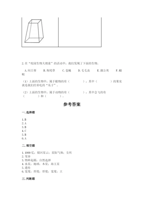 教科版六年级下册科学期末测试卷1套.docx