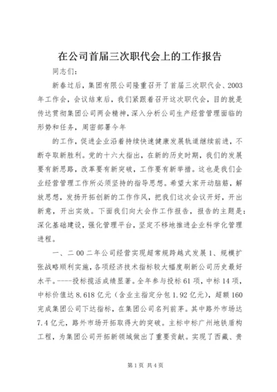 在公司首届三次职代会上的工作报告 (13).docx