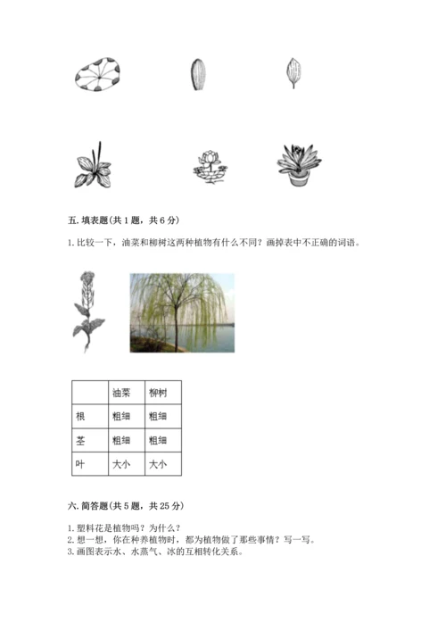 教科版一年级上册科学期末测试卷及答案【夺冠】.docx