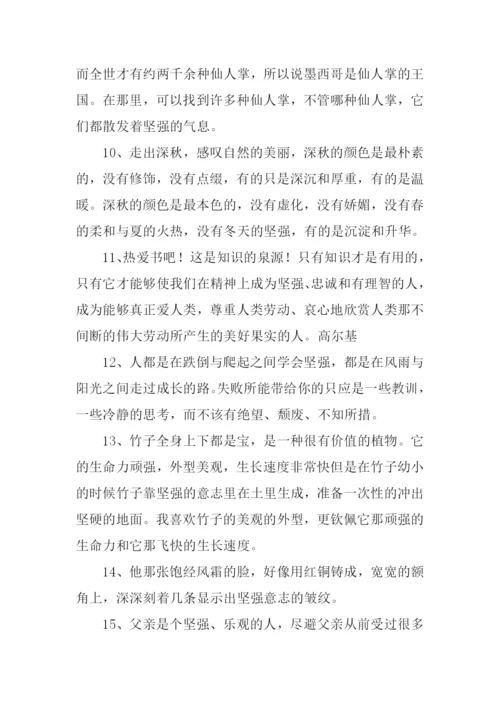 坚强的反义词.docx