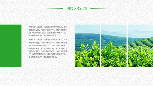 绿色唯美清新茶园文化茶艺品茶论道PPT模板