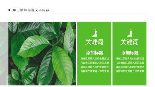 绿色清新植物生长敬畏生命成长励志PPT模板