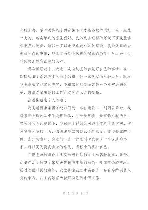 试用期结束个人总结范文.docx