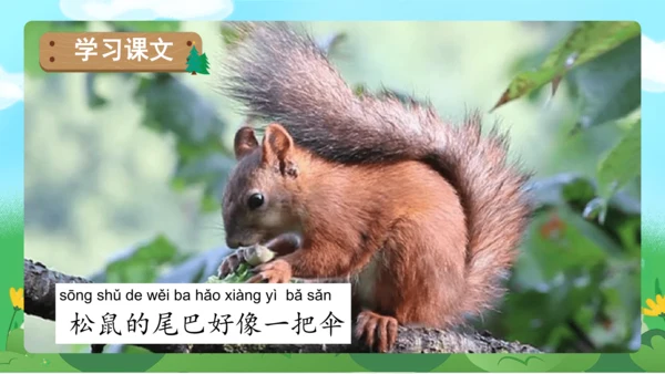 课文6《比尾巴》（教学课件）