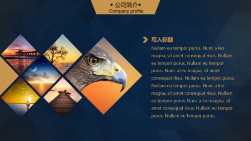 轻奢质感逼格创业计划书通用PPT模版