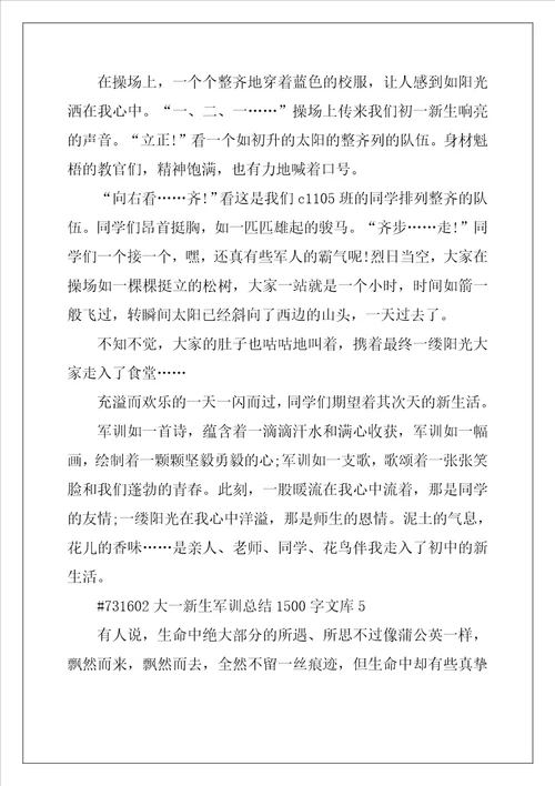 2022年大一新生军训总结1500字文库