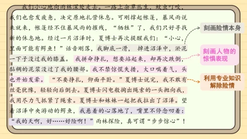 统编版语文五年级下册2024-2025学年度第六单元习作：神奇的探险之旅（课件）