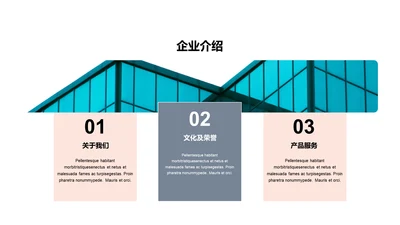 单色扁平3项企业介绍