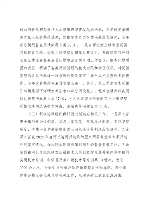 XX镇级河长制总督察长履职工作总结