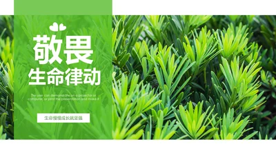 绿色清新植物生长敬畏生命成长励志PPT模板