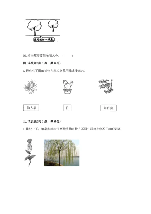 教科版科学一年级上册期末测试卷【考点提分】.docx