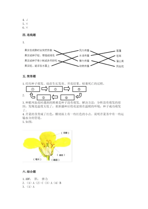 教科版科学四年级下册第一单元《植物的生长变化》测试卷带答案（精练）.docx