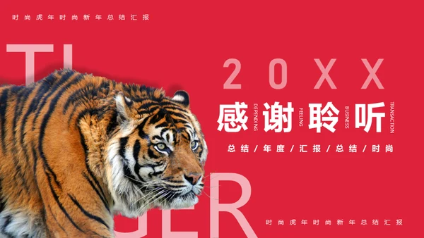 时尚虎年总结汇报通用PPT模板