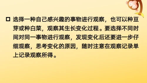 16 金色的草地  课件