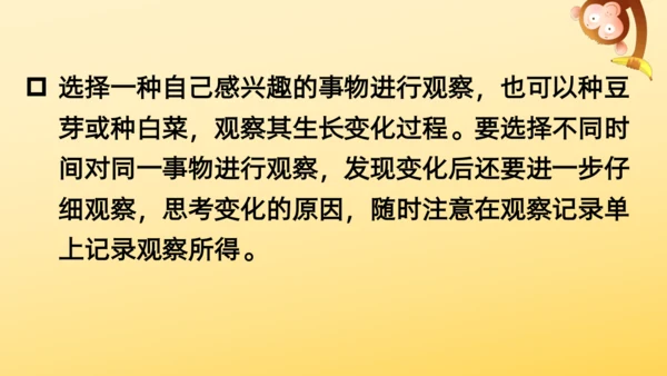 16 金色的草地  课件