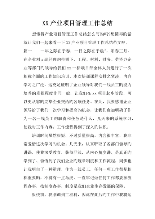 产业项目管理工作总结.docx