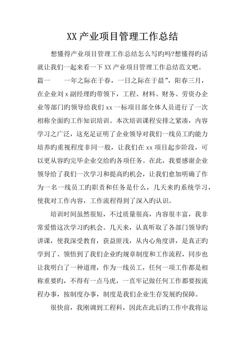 产业项目管理工作总结.docx