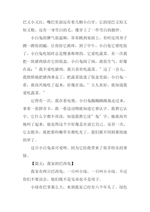 关于小动物的作文200字.docx