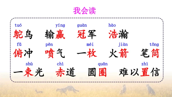 7 什么比猎豹的速度更快 第一课时 课件