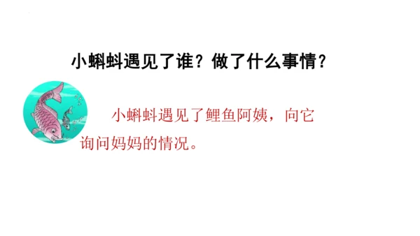 1《小蝌蚪找妈妈 》课件