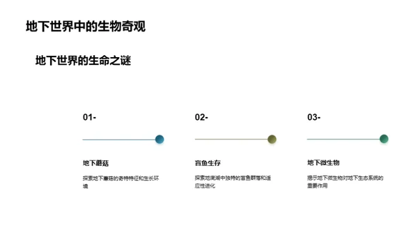 神秘地下世界的奇观