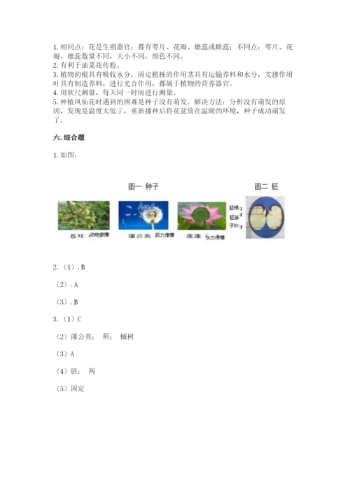 教科版科学四年级下册第一单元《植物的生长变化》测试卷（研优卷）.docx