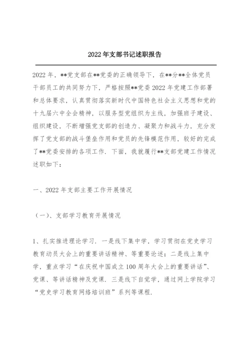 2022年支部书记述职报告.docx