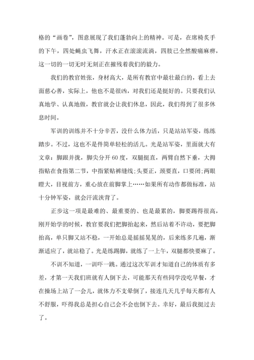 初中军训心得体会汇总六篇（二）.docx