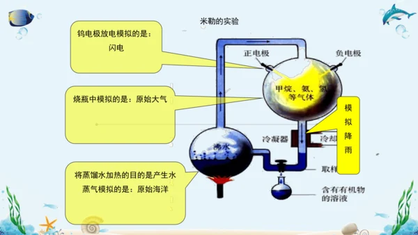 人教版八年级下册生物复习课件
