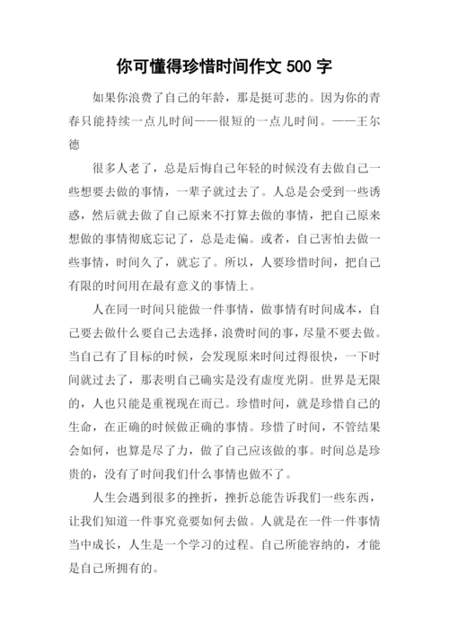 你可懂得珍惜时间作文500字.docx