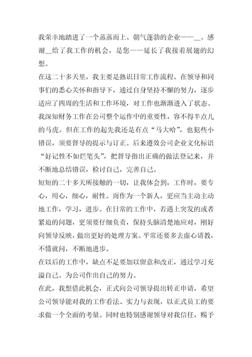2022年会计转正申请书例文