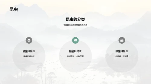 自然界的奇妙生物