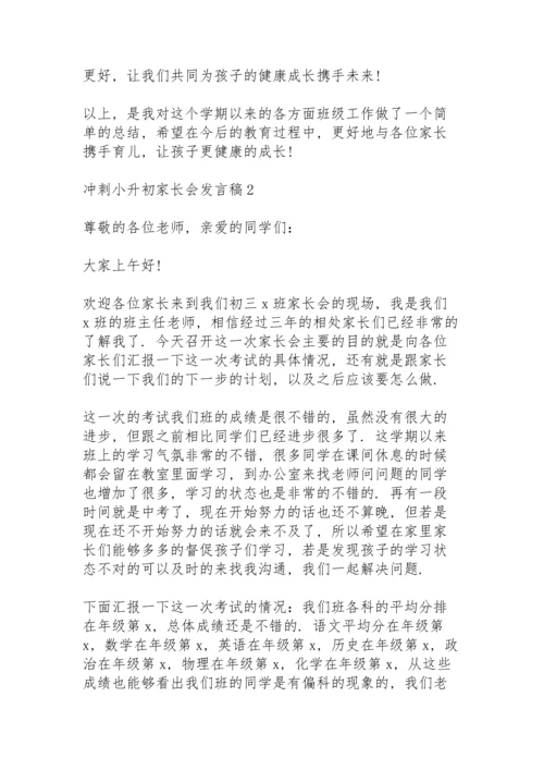 冲刺小升初家长会代表发言稿5篇.docx