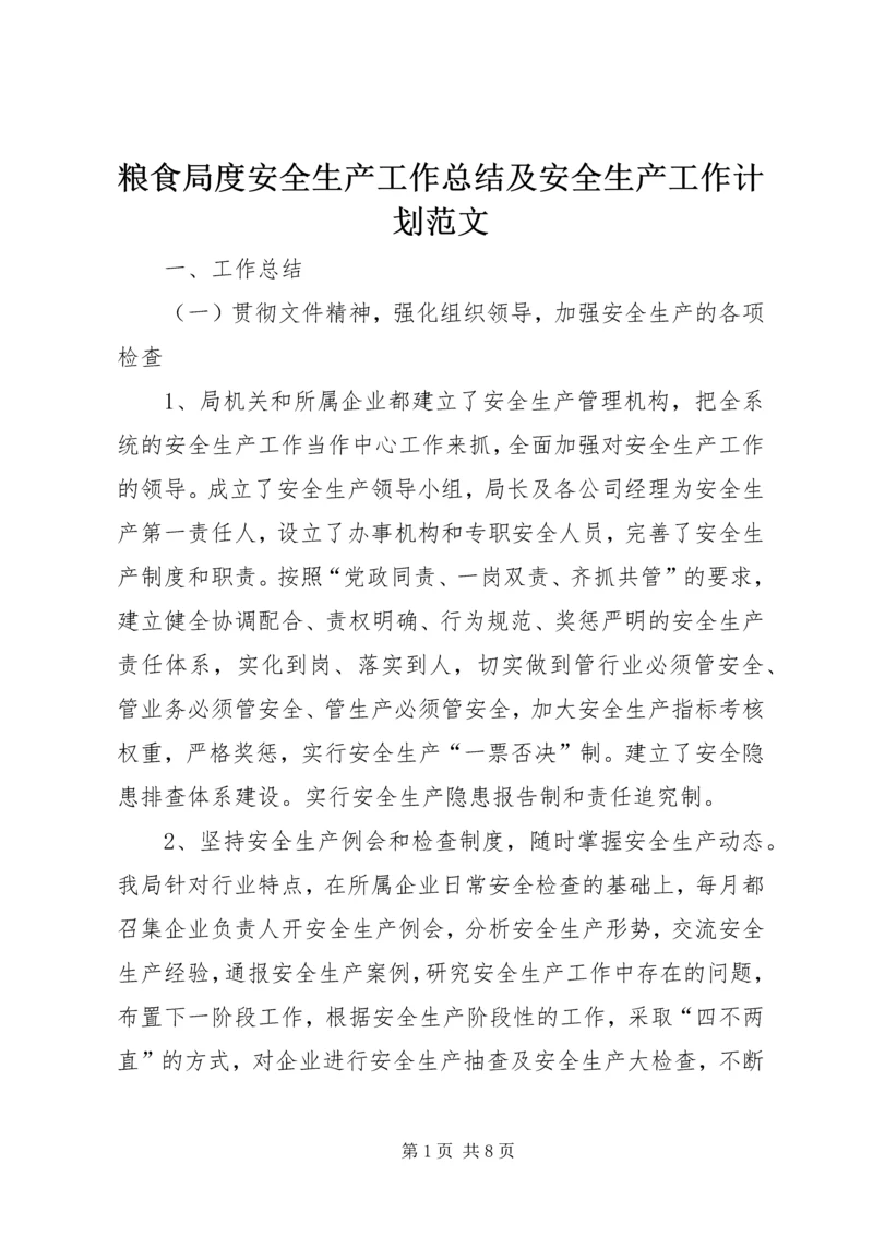 粮食局度安全生产工作总结及安全生产工作计划范文.docx