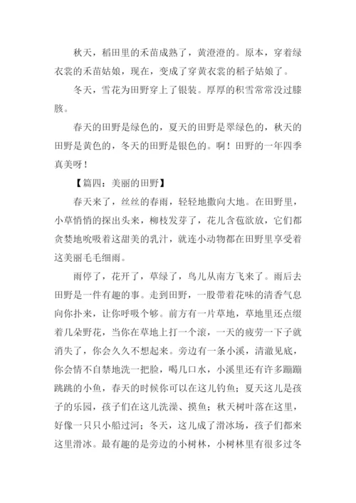 美丽的田野作文300字.docx
