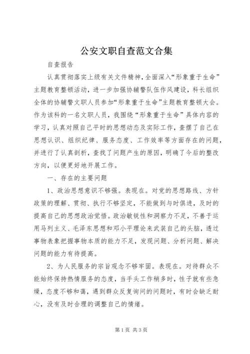 公安文职自查范文合集.docx