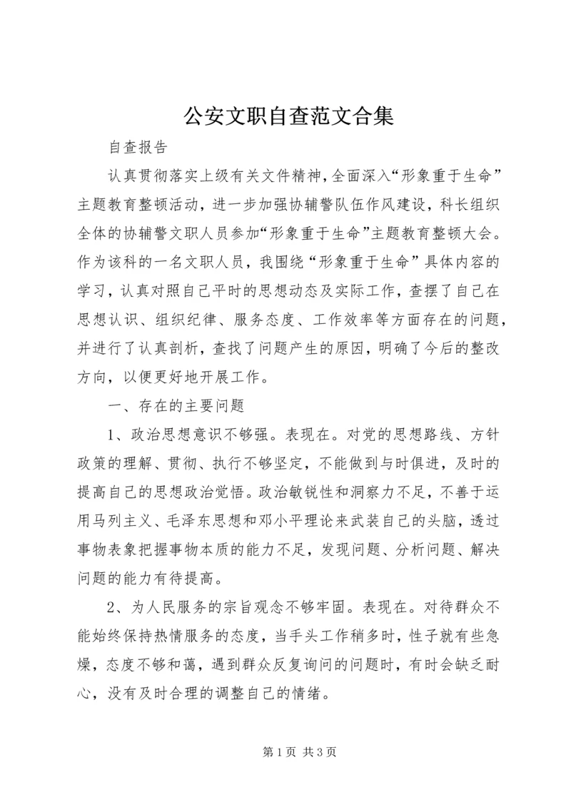 公安文职自查范文合集.docx