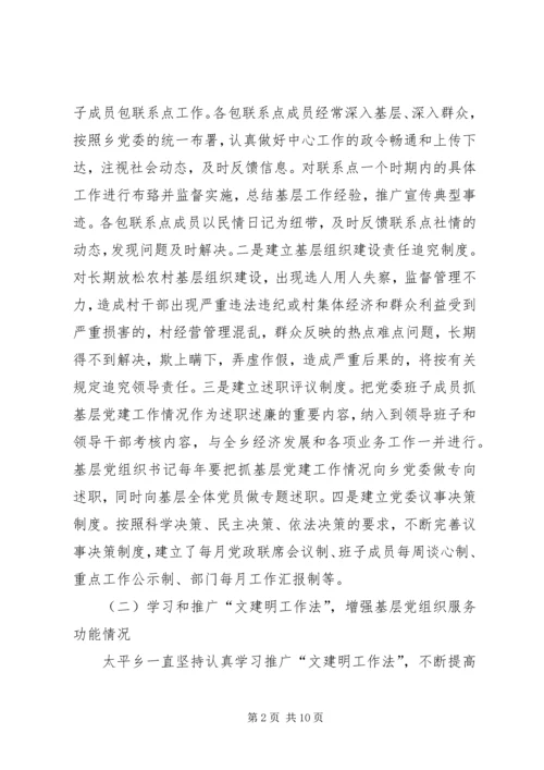 基层中队全面建设汇报简要提纲.docx