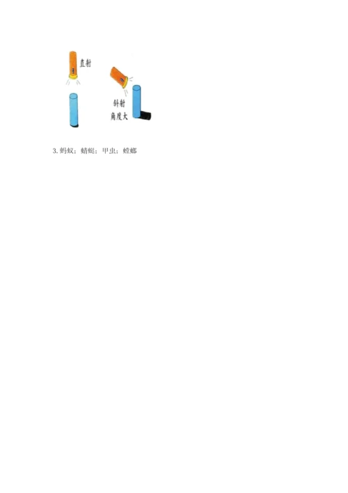 教科版科学三年级下册 期末测试卷精品【有一套】.docx