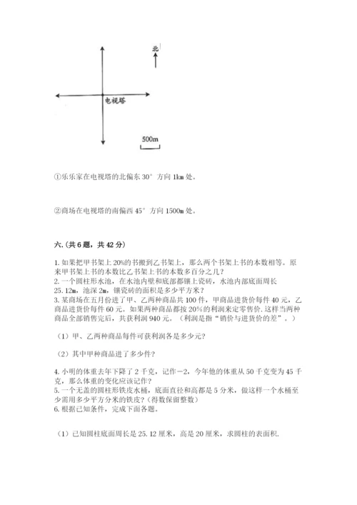 西师大版数学小升初模拟试卷带答案（新）.docx