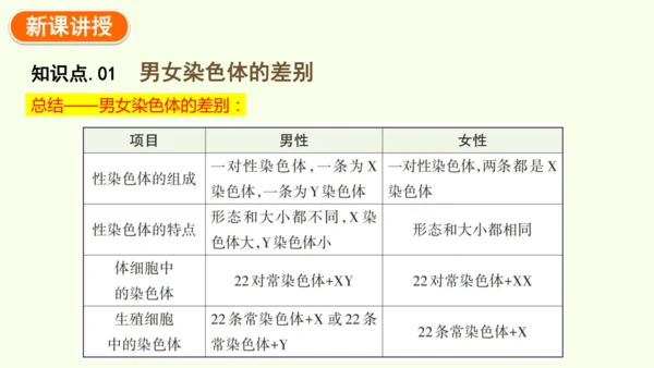 7.2.4人的性别遗传-八年级生物人教版下学期同步精品课件(共28张PPT)