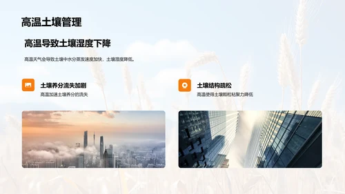 夏至农业气候指导