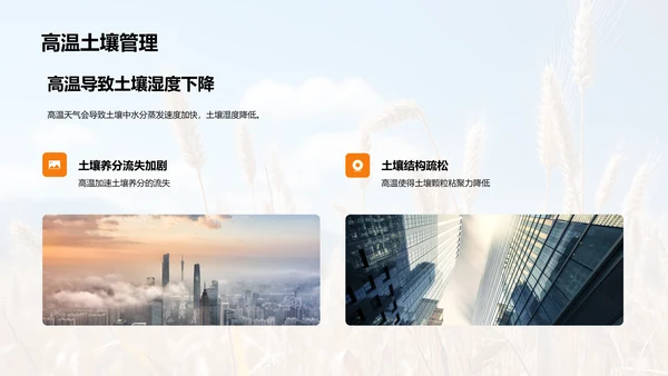 夏至农业气候指导