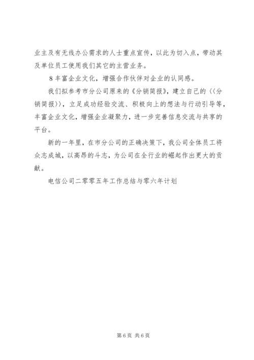 电信公司二零零五年工作总结与零六年计划 (10).docx