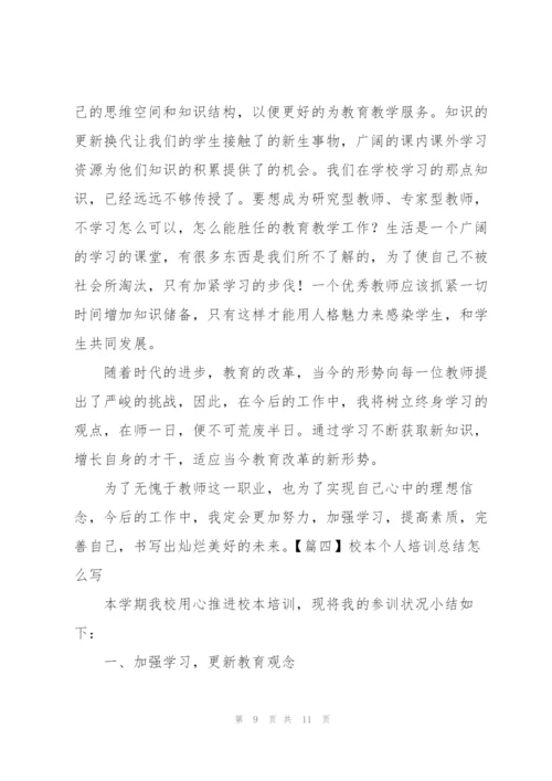 校本个人培训总结怎么写.docx