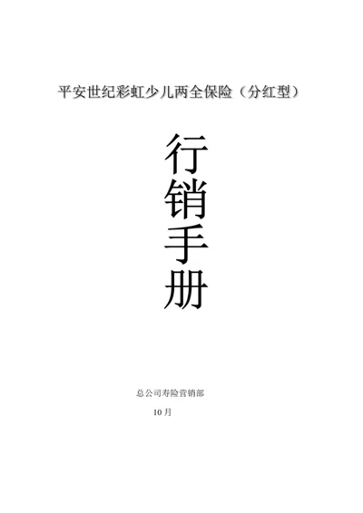 世纪彩虹行销标准手册.docx